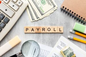 Payroll software for group companies in UAE